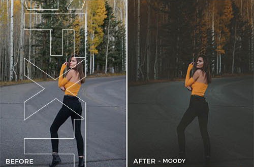 LR3052 FiterGrade Dylan Walls Presets