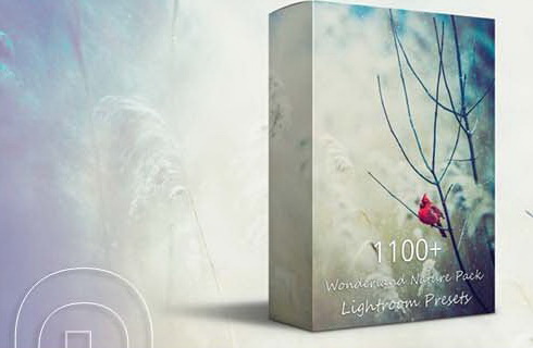 LR3074 1102 Wonderland Nature Pack Presets A
