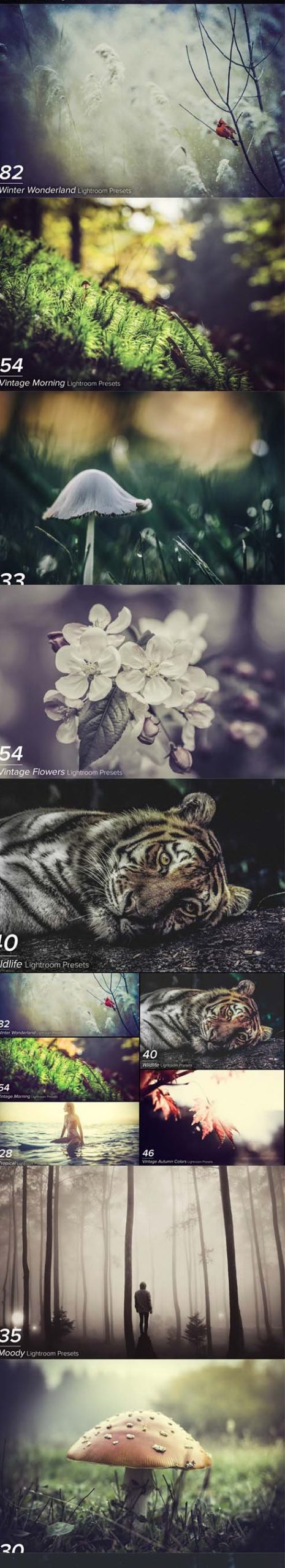 LR3074 1102 Wonderland Nature Pack Presets C