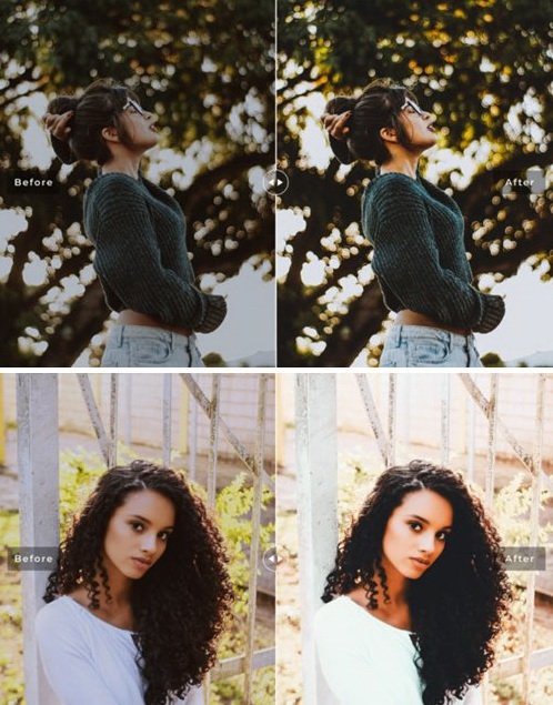 LR3105 Manaus Pro Presets Mobile Desktop ACR ATN PSD 4160021 B