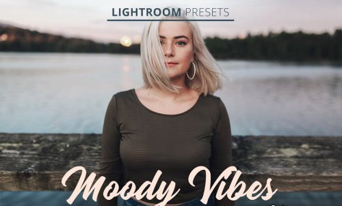 LR3134 CreativeMarket - Moody Vibes Presets Desktop ACR 4801344 A