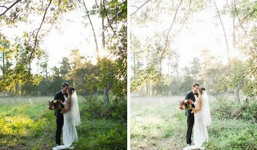 LR3139 Veil Classic Presets Mobile D