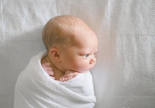 LR3161 ModernMarket Fresh 48 Collection Newborn Presets Desktop ACR B