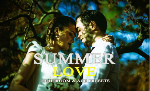 LR3166 Summer Love Presets Desktop ACR A