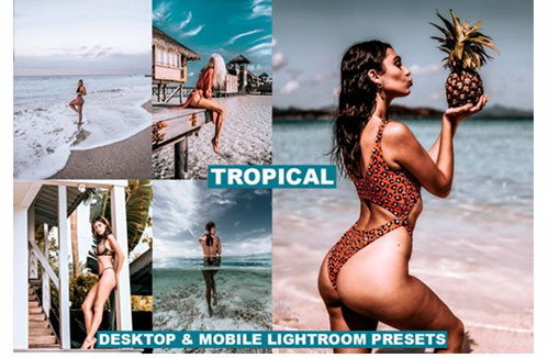 LR3167 Tropical Mobile Desktop 4129244 a