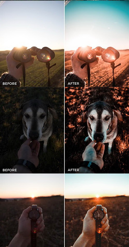 LR3169 FilterGrade Nico Hoppe Cool Tones Presets b