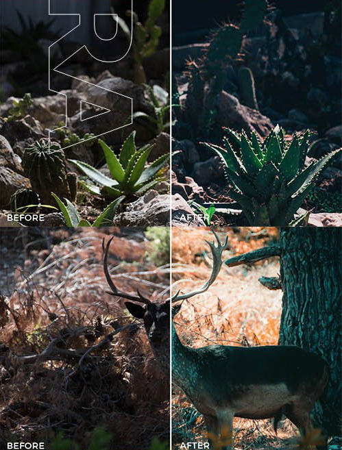 LR3169 FilterGrade Nico Hoppe Cool Tones Presets c