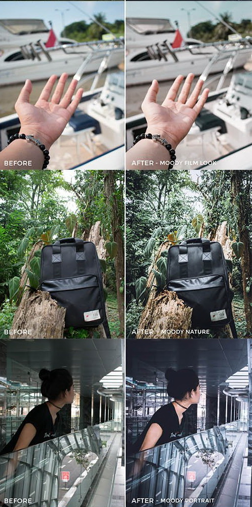 LR3175 FilterGrade Arvin Febry Presets c