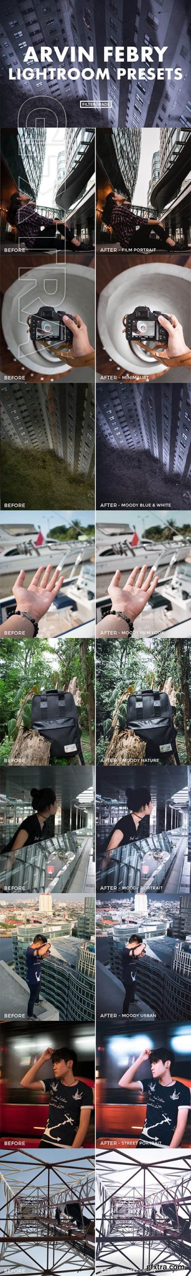 LR3175 FilterGrade Arvin Febry Presets