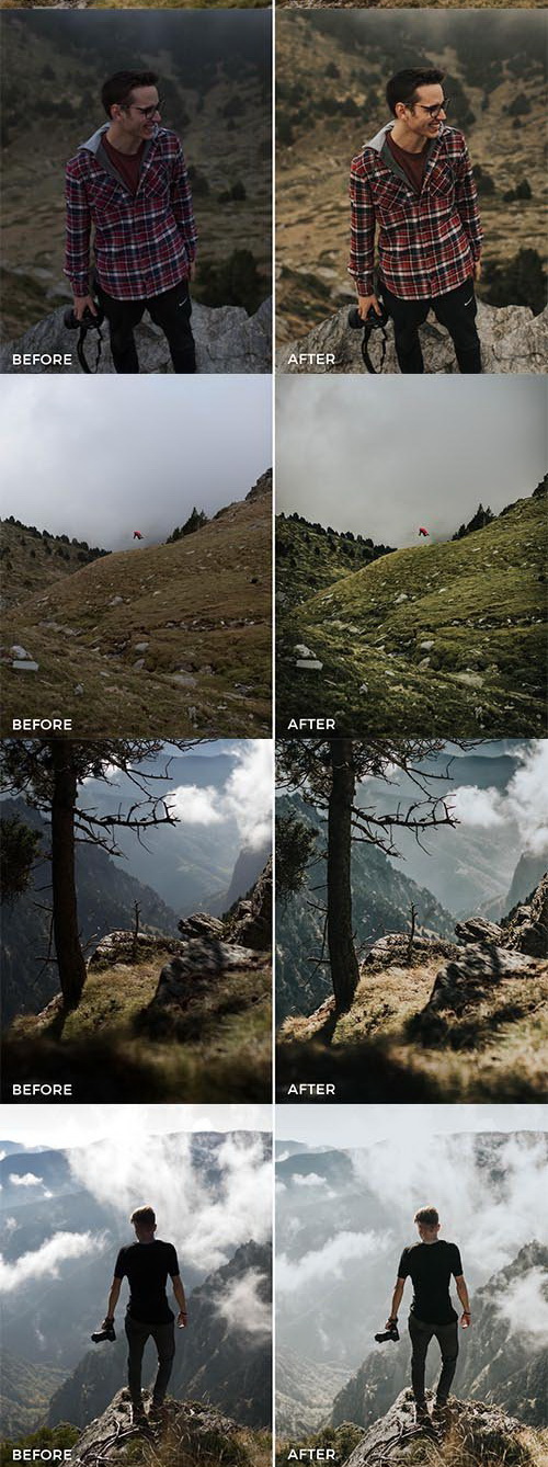LR3184 FilterGrade Joan Slye Landscape Presets C