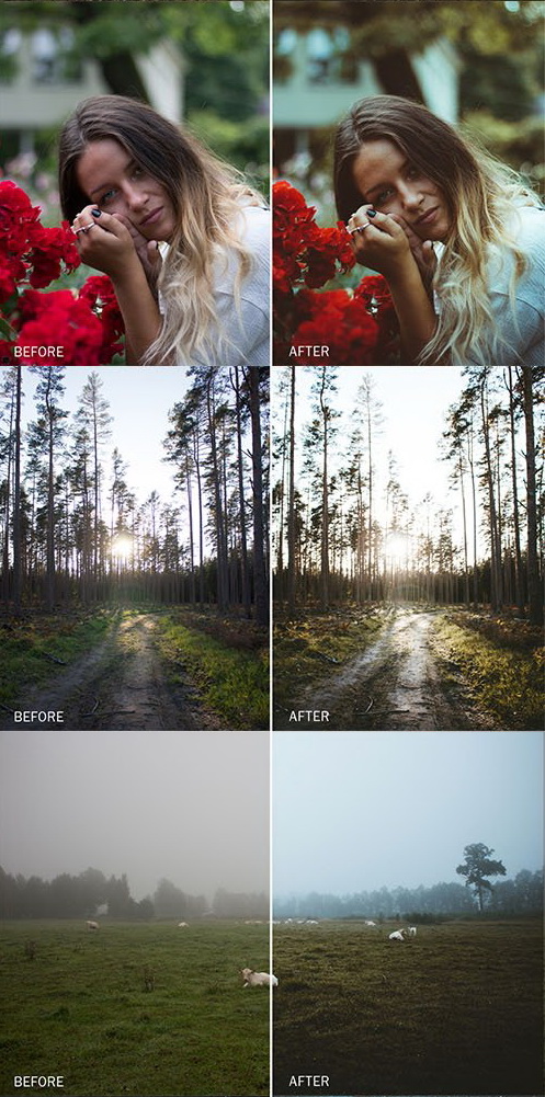 LR3197 FilterGrade Roberts Kimenis Presets C