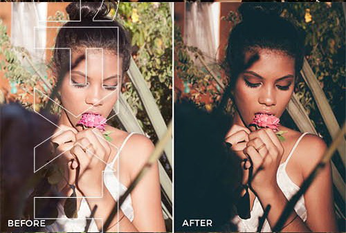 LR3206 FilterGrade Caique Rodrigues Presets