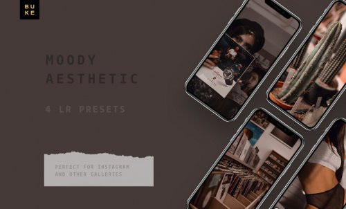 LR3210 CreativeMarket - BUKE 4 VELVET MEADOW Moody Aesthetic Mobile Desktop ACR 4944488 B
