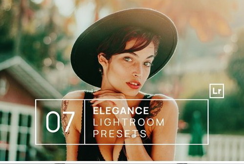 LR3215 7 Elegance ACR Presets a