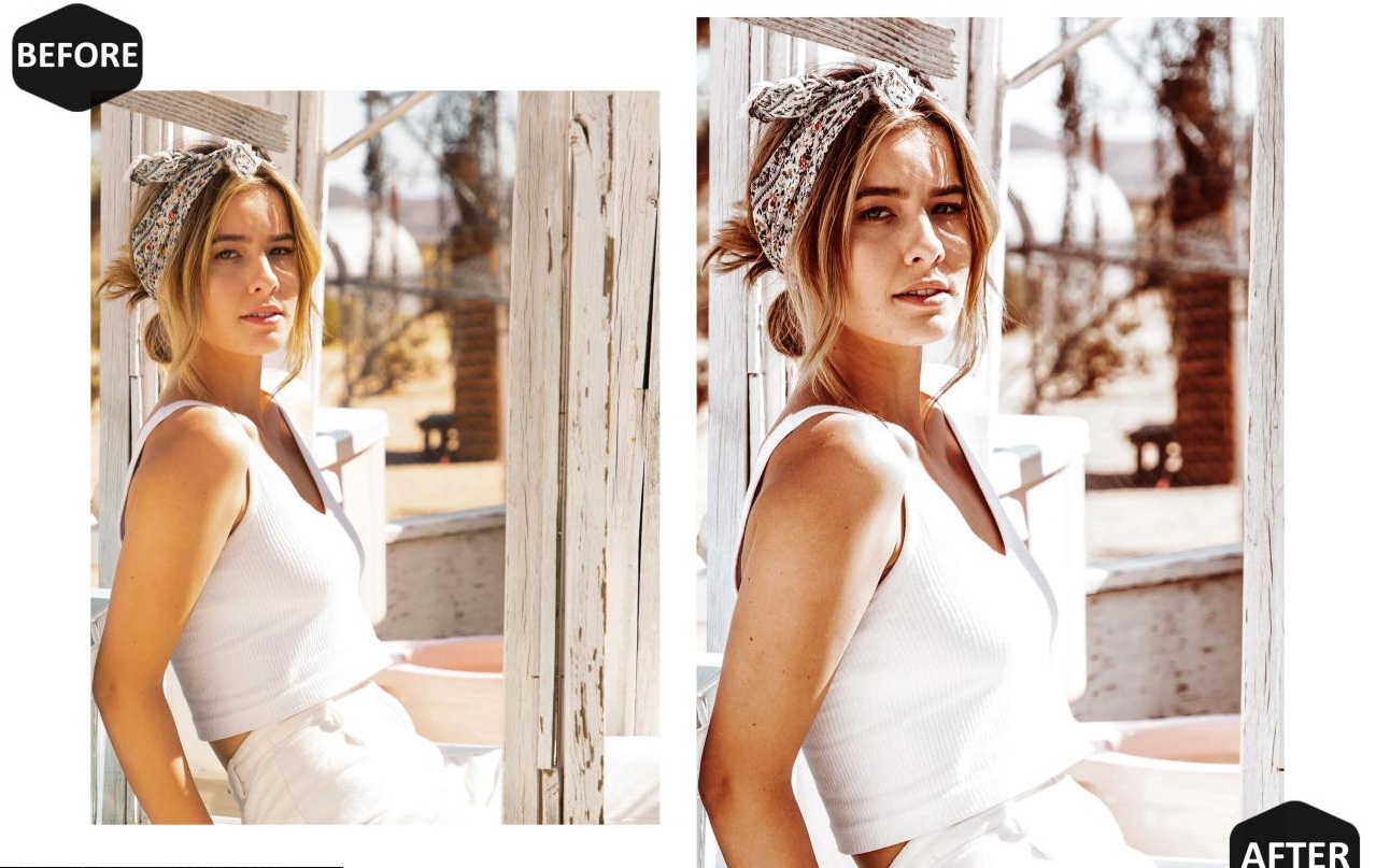 LR3230 10 Tan Preset Mobile Desktop 4221172 d