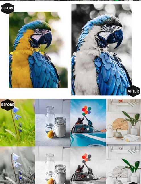 LR3234 8 Focus in Color Preset Mobile Desktop 4220889 b