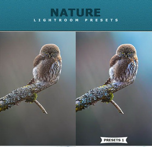 LR3235 GraphicRiver - Nature Presets 26129700 a