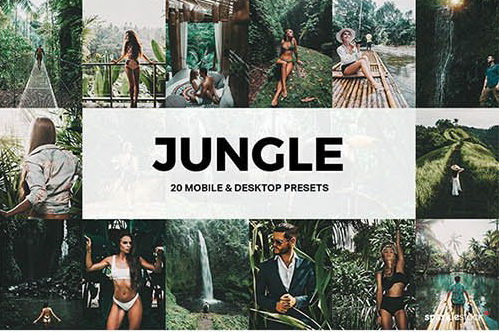 LR3246 GraphicRiver - 20 Jungle Mobile ACR LUTs 26674189 A