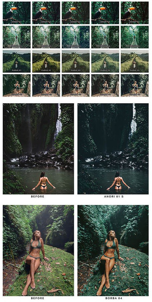 LR3246 GraphicRiver - 20 Jungle Mobile ACR LUTs 26674189 B