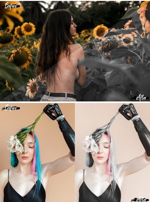 LR3252 7 Minimal Grey Presets Mobile Desktop ACR 4244476 B