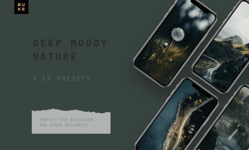 LR3352 CreativeMarket - BUKE Moody Bay 4 Pro Mobile Desktop ACR 4870966 B