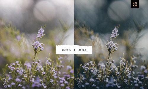 LR3352 CreativeMarket - BUKE Moody Bay 4 Pro Mobile Desktop ACR 4870966 D
