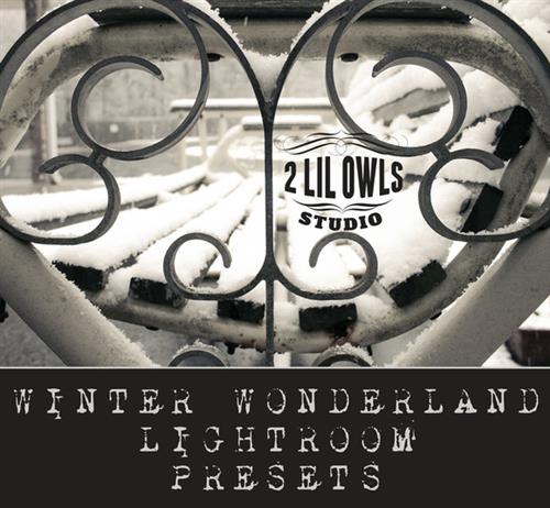 LR3359 CM - Winter Wonderland Presets 15669