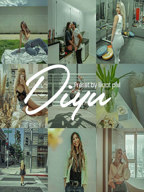 LR3366 GraphicRiver - LIXZATPIXL Diyu Mobile Desktop ACR 26805161 A