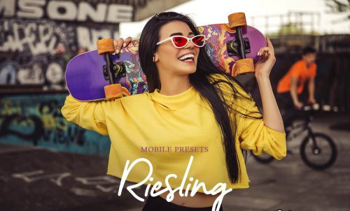 LR3378 CreativeMarket - Riesling Presets Mobile Desktop ACR 4726046 A
