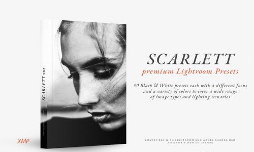 LR3393 CreativeMarket - GOICHA SCARLETT PRESETS ACR 4208199 A