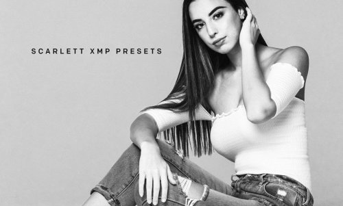 LR3393 CreativeMarket - GOICHA SCARLETT PRESETS ACR 4208199 B