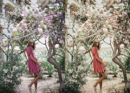 LR3573 TEZZA – The JPEG Combo Presets Pack B