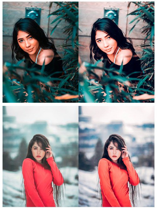 LR3578 My Perfect Makeup Preset ACR 4549527 a