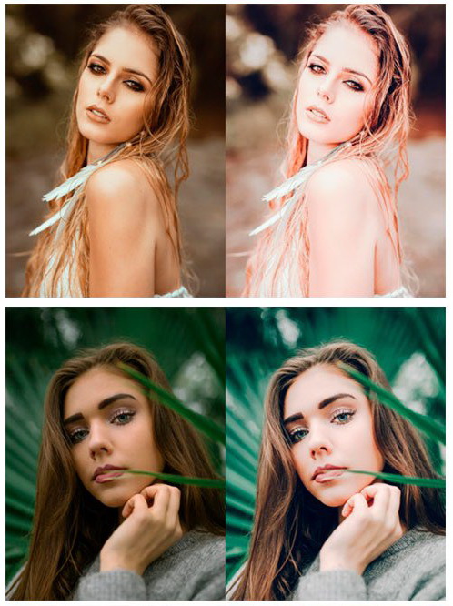LR3578 My Perfect Makeup Preset ACR 4549527 c