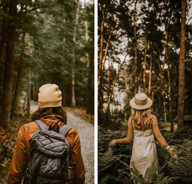 LR3621 Jungle Presets Minimal Brown Collection Mobile Desktop ACR A