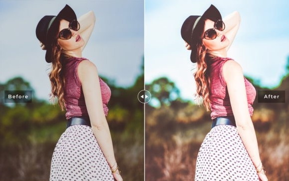 LR3623 Florida Pro Presets Mobile Desktop ACR ATN PSD D