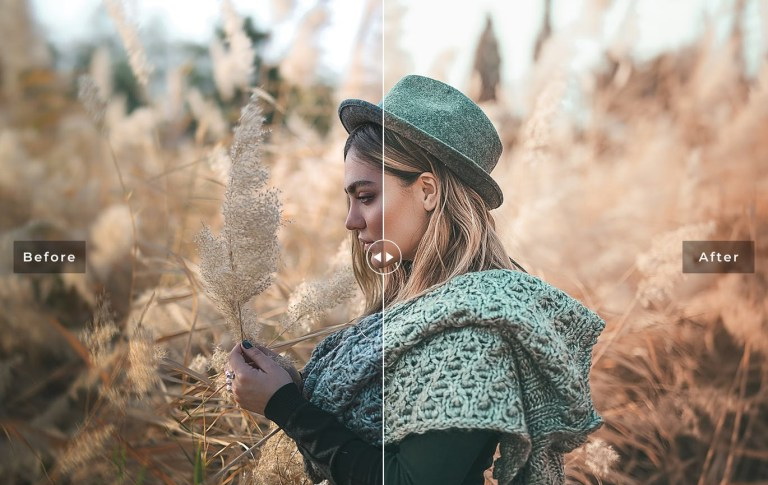 LR3637 Sun Kissed Presets Mobile Desktop ACR ATN PSD C