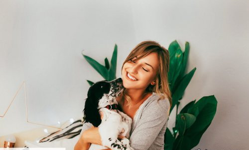 LR3661 CreativeMarket - Instagram Blogger Presets Desktop ACR 4811112 D