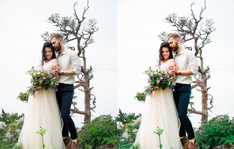 LR3674 Luminous Film Tones Wedding Presets Desktop ACR 1310381 d