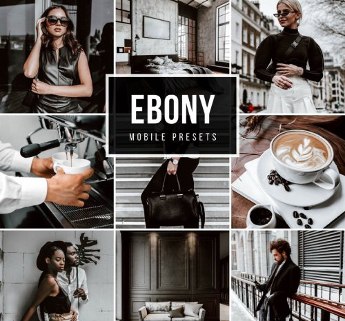LR3679 CreativeMarket - EBONY Presets Mobile 5025514 A