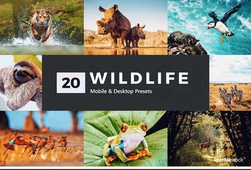 LR3760 CreativeMarket - 20 Wildlife Presets Mobile ACR LUTs 5205006 a