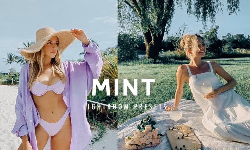 LR3811 KIIN - LILAC MINT PRESETS Mobile Desktop 5247739 a