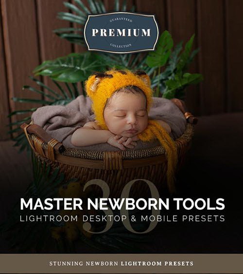LR3816 GraphicRiver - Master Newborn Presets Mobile ACR Profile 27665516 A