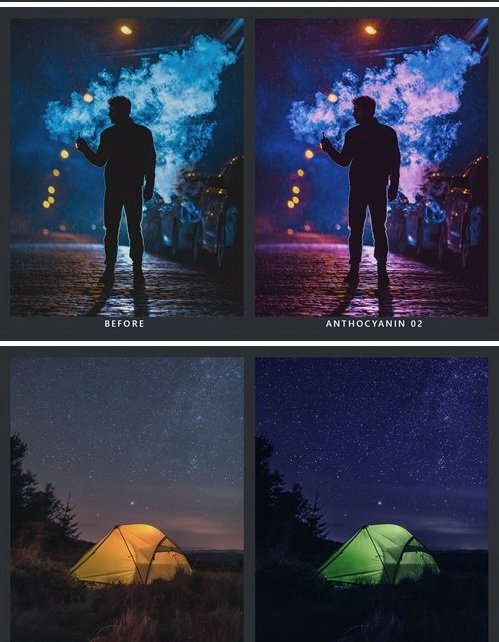 LR3829 CreativeMarket - 20 Purple & Green Presets Mobile ACR LUTs 5234342