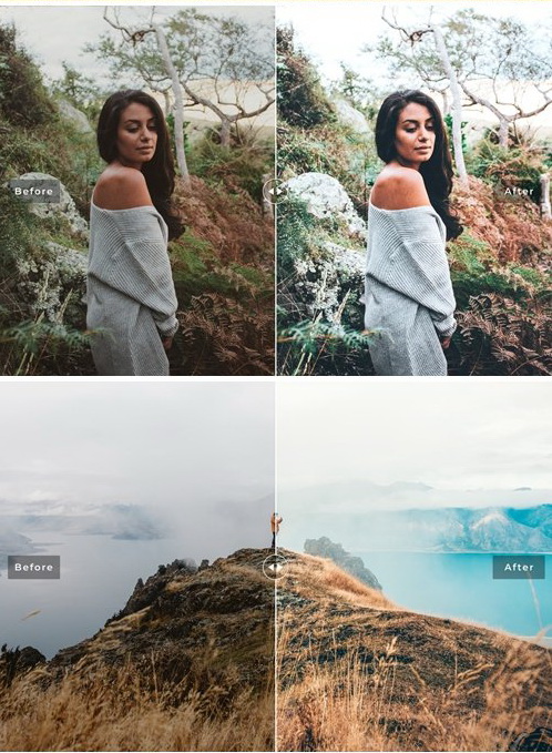 LR3922 Wanaka Presets Mobile Desktop ACR ATN PSD c
