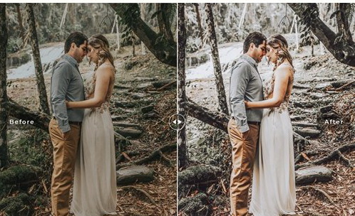 LR3925 Elope Presets Mobile Desktop ACR ATN PSD