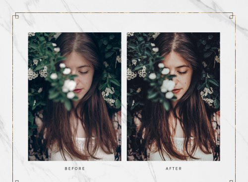 LR3942 SYNCWAVE Dreamscape Presets Mobie ACR 5251136 B