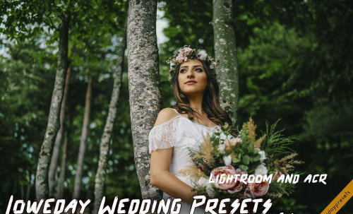 LR3963 Loweday Wedding Presets ACR 4775119 A