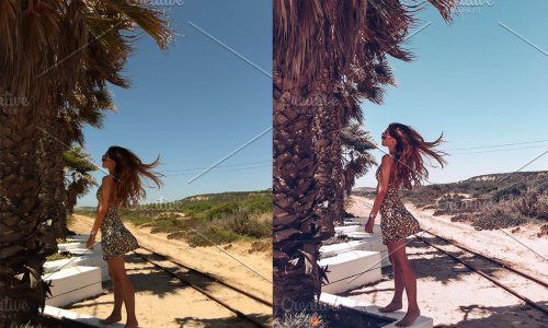 LR3966 CreativePresets - SUMMER PRESETS Mobile Desktop ACR 5166722 B