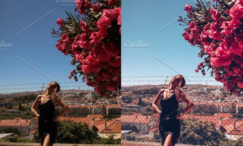 LR3966 CreativePresets - SUMMER PRESETS Mobile Desktop ACR 5166722 D